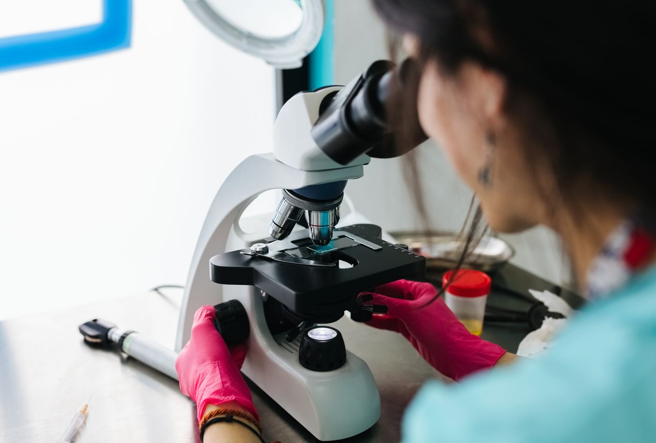 Scientist analyzing samples in laboratory